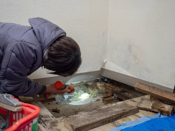 Best Biohazard Mold Removal  in Mount Pleasant, WI