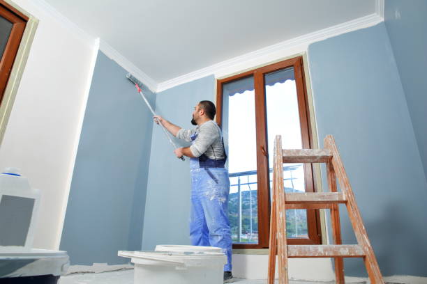 Best Water Damage & Mold Remediation  in Mount Pleasant, WI