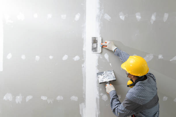 Best Mold Prevention Services  in Mount Pleasant, WI
