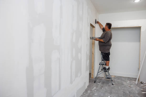 Best Mold Documentation for Insurance Claims  in Mount Pleasant, WI