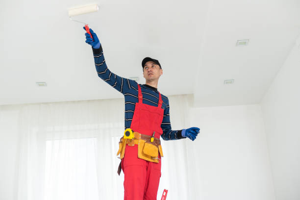 Best Mold Odor Removal Services  in Mount Pleasant, WI