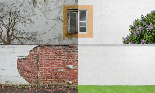 Best Environmental Consulting for Mold Prevention  in Mount Pleasant, WI
