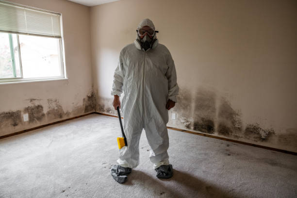 Mold Documentation for Insurance Claims in Mount Pleasant, WI