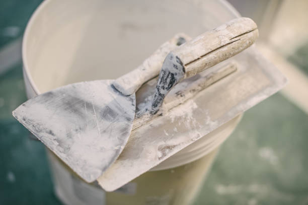 Best Mold Remediation for Healthcare Facilities  in Mount Pleasant, WI